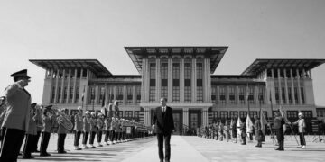 OHAL kapsamında yapılaşma kararı: Orman ve meraya inşaat yapılabilir