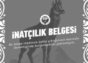İnatçılık Belgesi