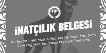 İnatçılık Belgesi