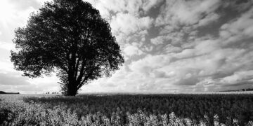 Yürekte bir yakarışa benzer 🔪 Tevfik Aytekin