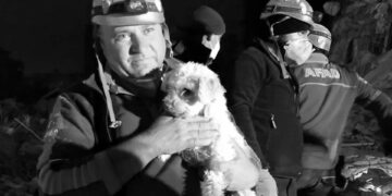 Kabındaki mama ile 25 gün hayatta kalan ‘Fıstık’, kurtarıldı