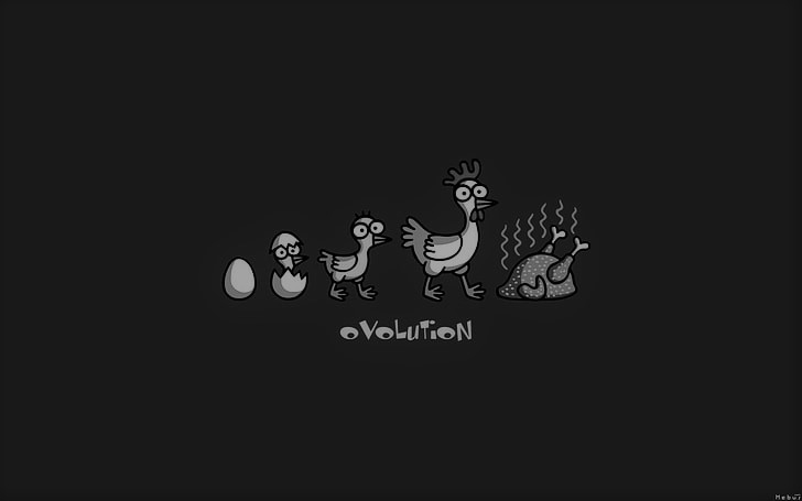 Tavuk suyuna sendika ⚡🐔🔌🛠️ Tevfik Aytekin