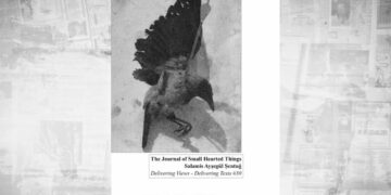 1886 yılı Kıbrıs’ından yollanan kurgusal kartpostalların sergisi Faneromenis70’te