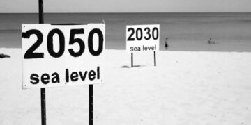 Meksika Körfezi ve ABD kıyılarında deniz seviyeleri rekor ölçüde yükseldi