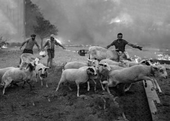 Yaklaşan El Niño, küresel ekonomiyi trilyonlarca dolar zarara uğratabilir