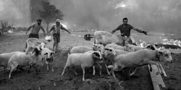 Yaklaşan El Niño, küresel ekonomiyi trilyonlarca dolar zarara uğratabilir