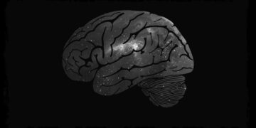 Kıbrıs üzerine 🌶️🧠 Ulus Baker