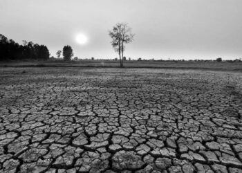 El Niño ihtimali arttıkça sıcaklık rekorları kırılacak