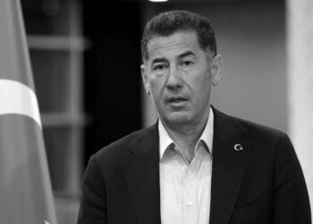 Sinan Oğan, Saray iktidarından yana tutum aldı