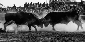 Dünya haftaya nasıl başlıyor 🦄