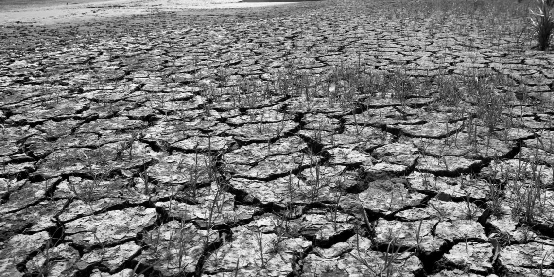 El Nino başladı, 2024’te sıcaklık rekoru kırılabilir