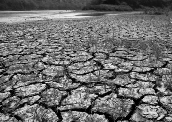 El Nino başladı, 2024’te sıcaklık rekoru kırılabilir