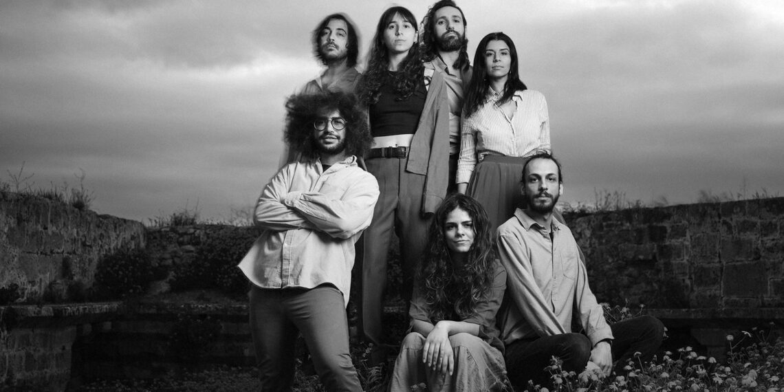 Island Seeds, ilk single’ı “Stray Cat” (Sokak Kedisi) şarkısını yayınladı 