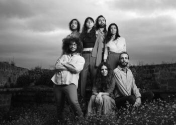 Island Seeds, ilk single’ı “Stray Cat” (Sokak Kedisi) şarkısını yayınladı 