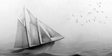 Çirkef yatağı | Thanasis Photiou | Phileleftheros [GR-TR]