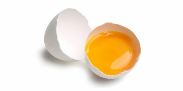 Taşlar ve Yumurtalar… | Halil Karapaşaoğlu