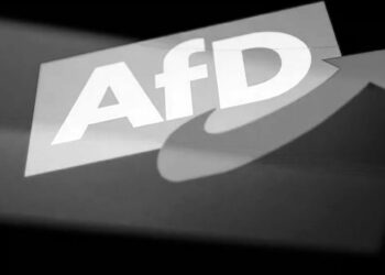 Sağ popülist AfD Almanya’da yüzde 20’ye ulaştı