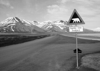 Svalbard: Küresel ısınmanın geleceğini görebileceğimiz Kuzey Kutbu Adaları