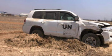 “İnsani amaçlarla” ulaşılmaya çalışılan “hayvani sonuçlar” | Mustafa Onurer