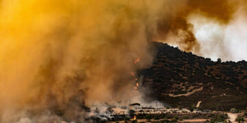 Limasol’daki yangın kontrol altında