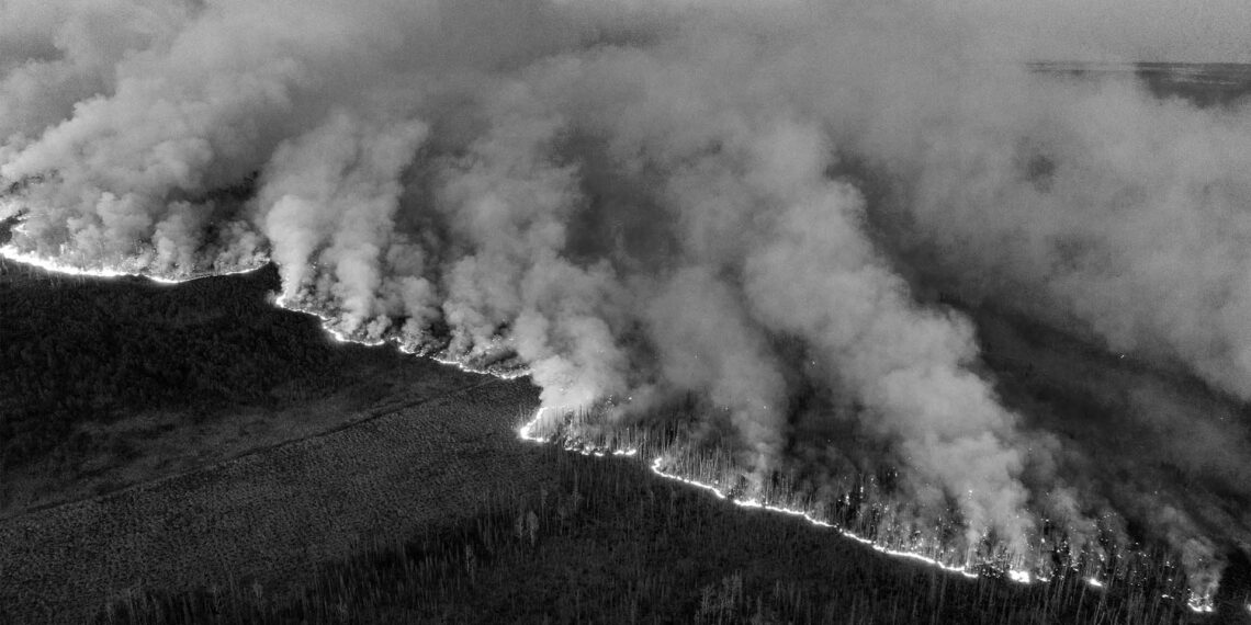 Kanada’da 12 milyon hektar ormanlık alan kül oldu: İki ülke büyüklüğünde