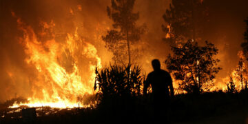 Aşırı sıcaklarla boğuşan Portekiz’de orman yangınları sürüyor: Binlerce kişi tahliye edildi