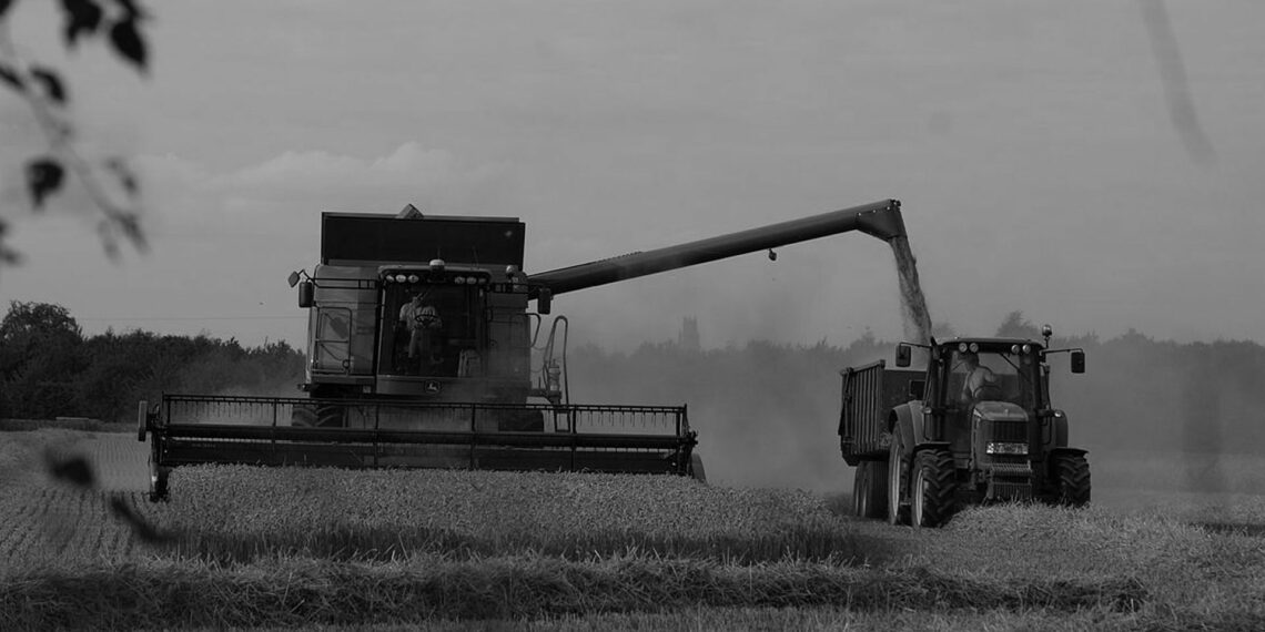 ‘İklim değişikliği 50 yıl içinde Birleşik Krallık’ta gıda kaynaklı iç karışıklıklara yol açabilir’