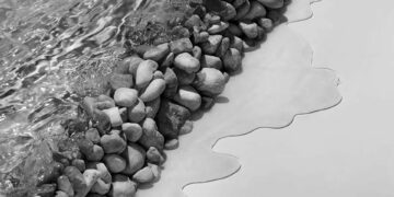 WMO: Su döngüsü düzensizleşiyor, ülkeler işbirliği yapmalı