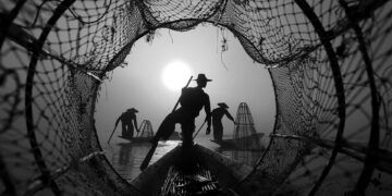 IUCN: Dünyadaki tatlı su balıklarının dörtte biri yok olabilir