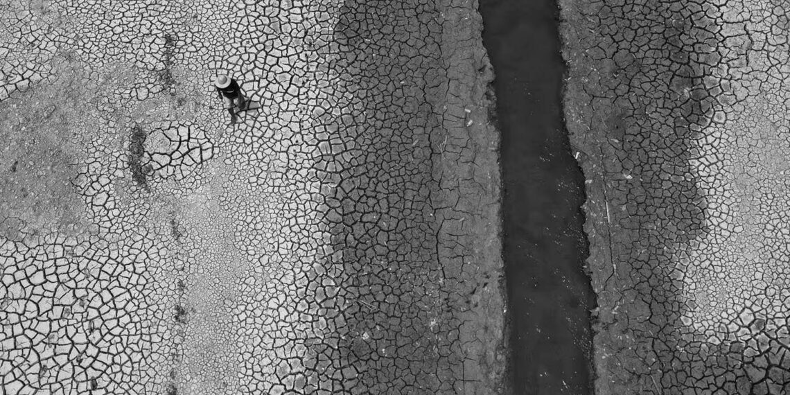 “Amazon havzasındaki aşırı kuraklığın nedeni El Niño değil, iklim değişikliği”