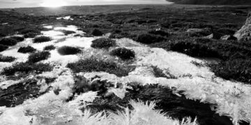 Bilim insanları Sibirya’daki antik virüslerin tetikleyebileceği salgın uyarısı yaptı