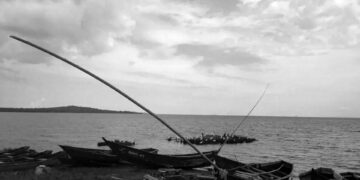 İklim değişikliği sıtma vakalarını körüklüyor