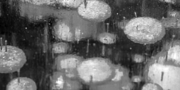 Araştırma: Grönland saldığından daha fazla metan gazı emiyor