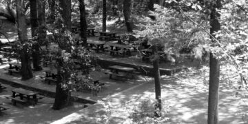 Kıbrıs’ın güneyinde faşist saldırı!