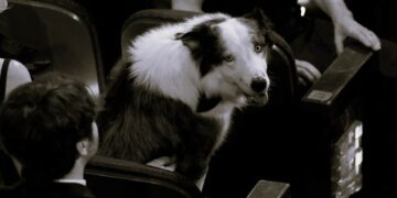 Messi isimli köpek Oscar törenine katıldı