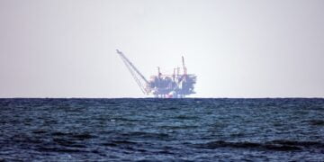 2019 Yılındaki Birleşmiş Milletler Raporuna gidiyoruz