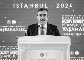 TC Cumhurbaşkanı Yardımcısından bilindik garantör çarpıtması