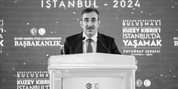 TC Cumhurbaşkanı Yardımcısından bilindik garantör çarpıtması