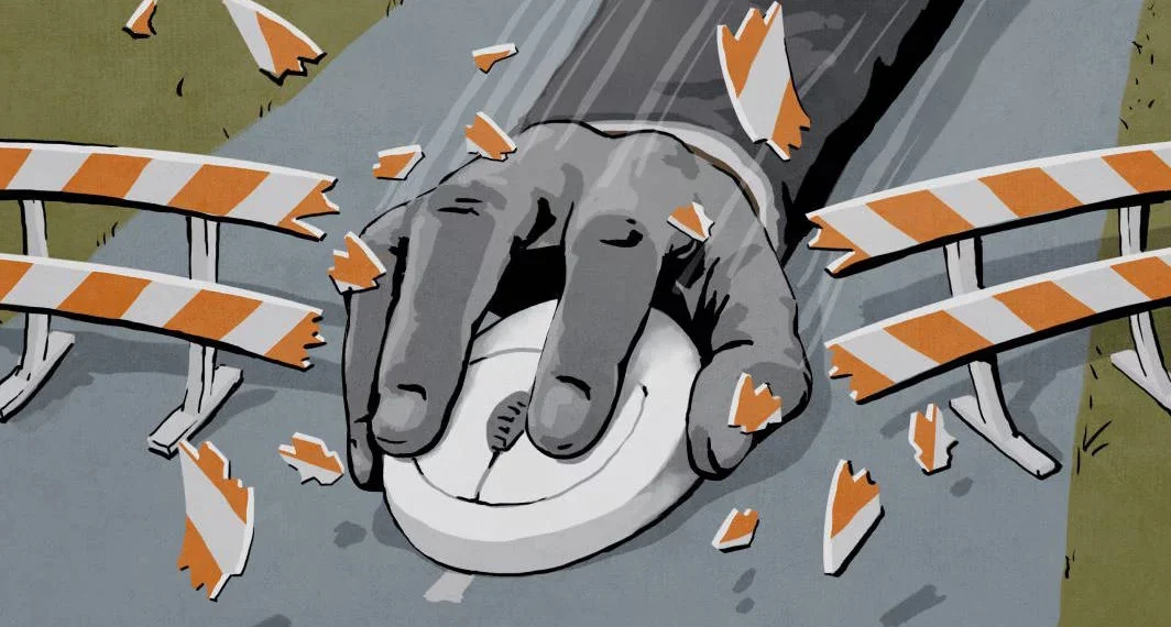 Devletlerin çevrimiçi sansürünü aşmak için “Özgürlük Operasyonu”