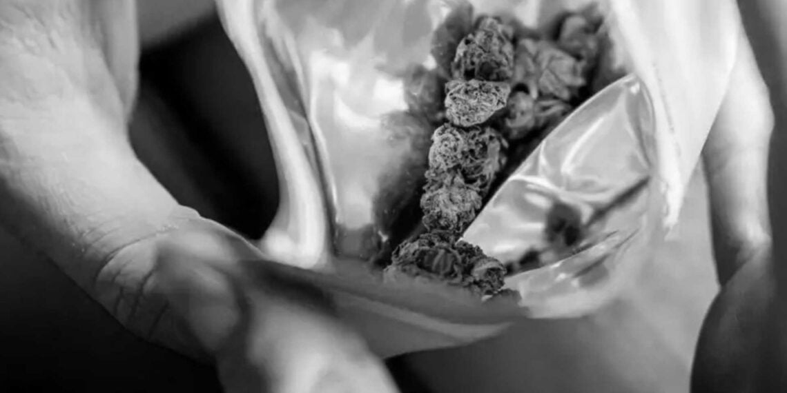 Almanya’da hintkeneviri kullanımı yasallaştı