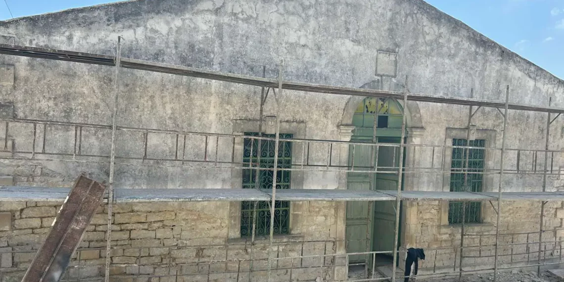 Alektora camisinde tadilat çalışmaları başladı