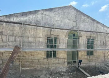 Alektora camisinde tadilat çalışmaları başladı