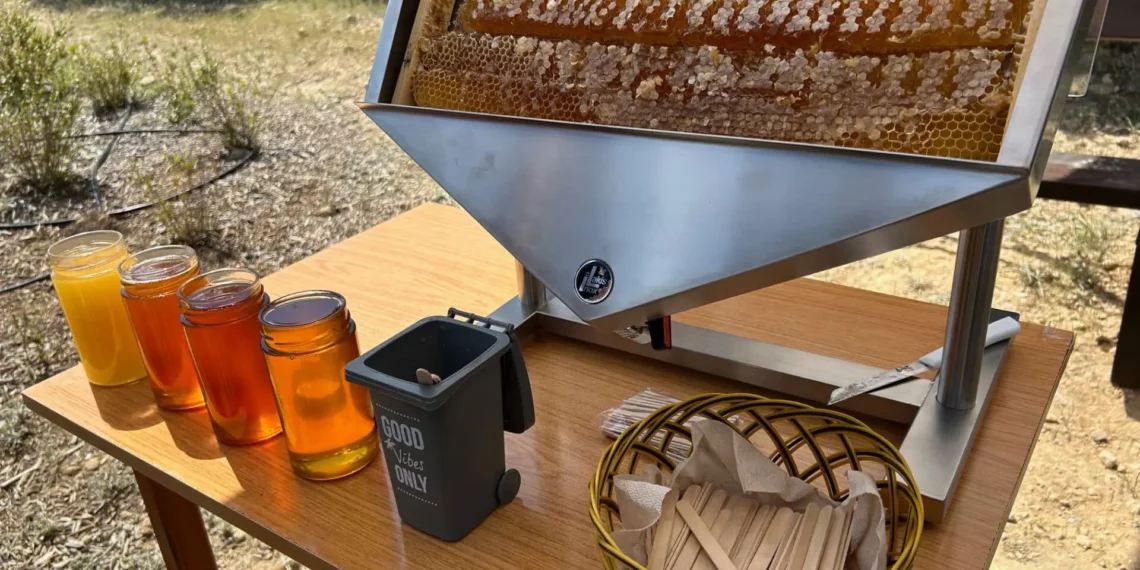 Kıbrıs’ta ilk arı parkı açıldı