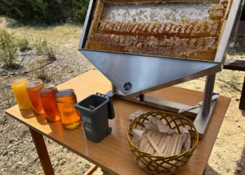 Kıbrıs’ta ilk arı parkı açıldı