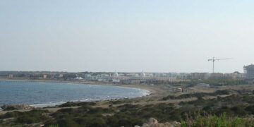 “Orman arazisini birilerine peşkeş çekmekten başka bir şey değil”