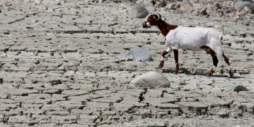 Sıcaklık rekoru: Omorfo 39.6°C