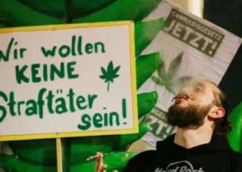 Almanya’da yüzlerce kişi gannavurinin yasallaşmasını kutladı | Video