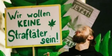 Almanya’da yüzlerce kişi gannavurinin yasallaşmasını kutladı | Video