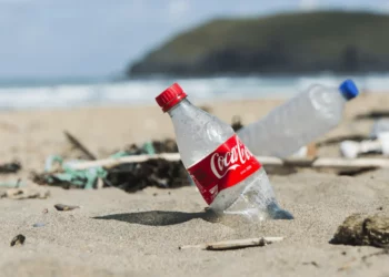 Dünyanın en büyük plastik kirleticileri Coca-Cola, PepsiCo ve diğerleri