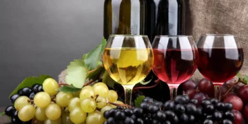 Kıbrıs’ın güneyinde satılan şarabın yarısından fazlası yerel olarak üretiliyor